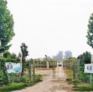 雅卉苗木春季熱售中